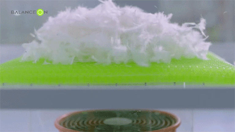 F120240312105351.gif